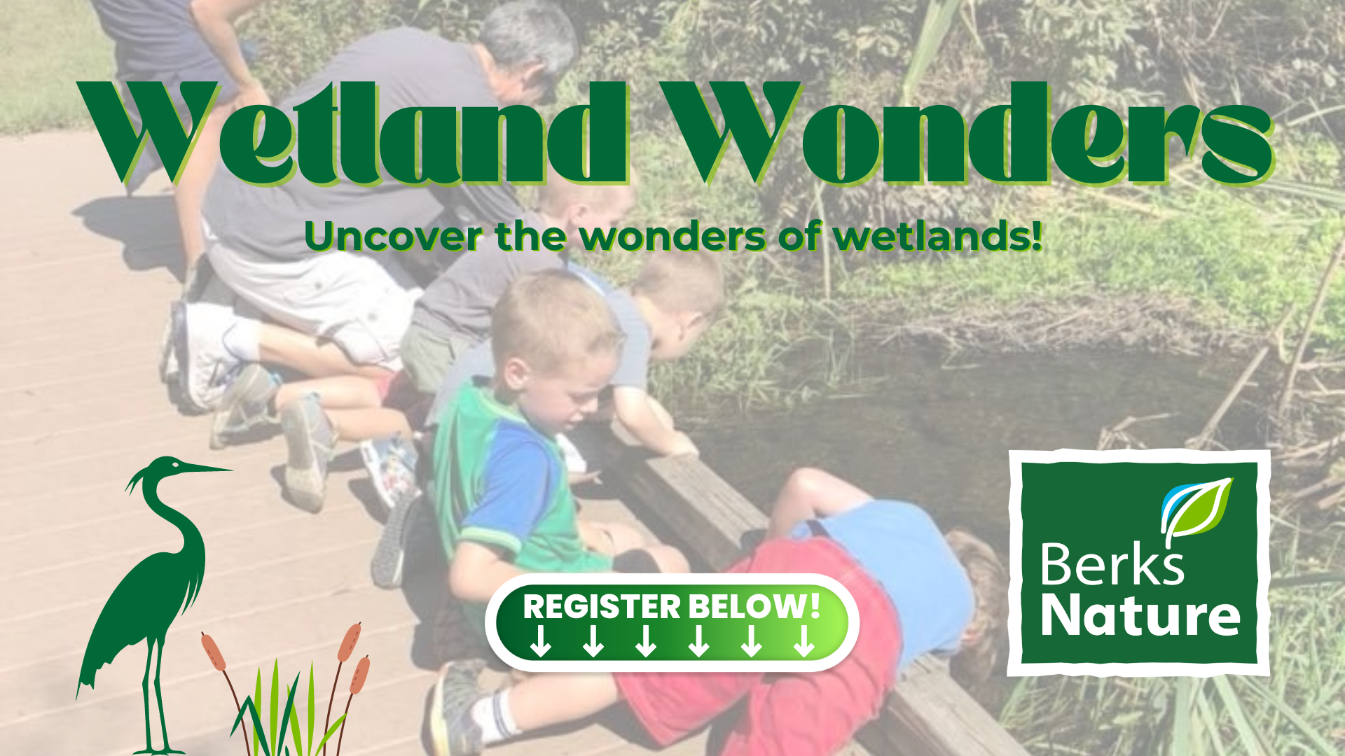 kids exploring a stream and the wonders of wetlands