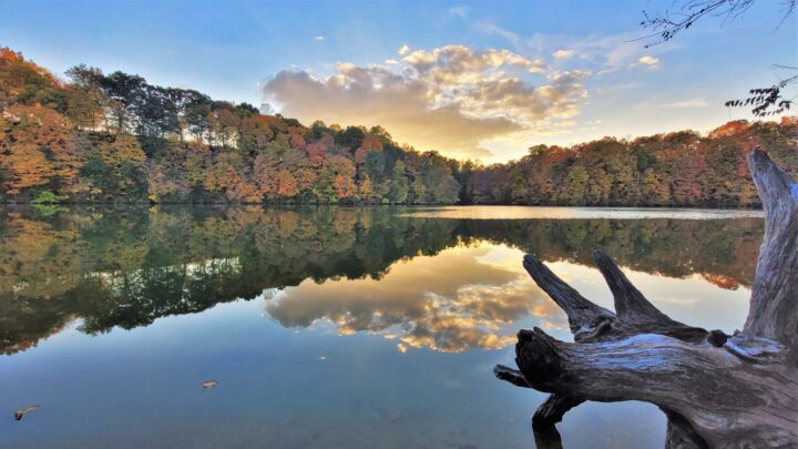 Blue Marsh Lake with fall trees and clouds reflected in the water